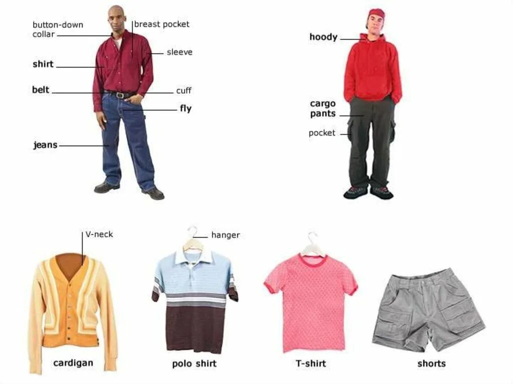 Мужские одежда описание. Одежда на английском. Название одежды. Описание одежды на пнгл. Одежда на английском картинки.