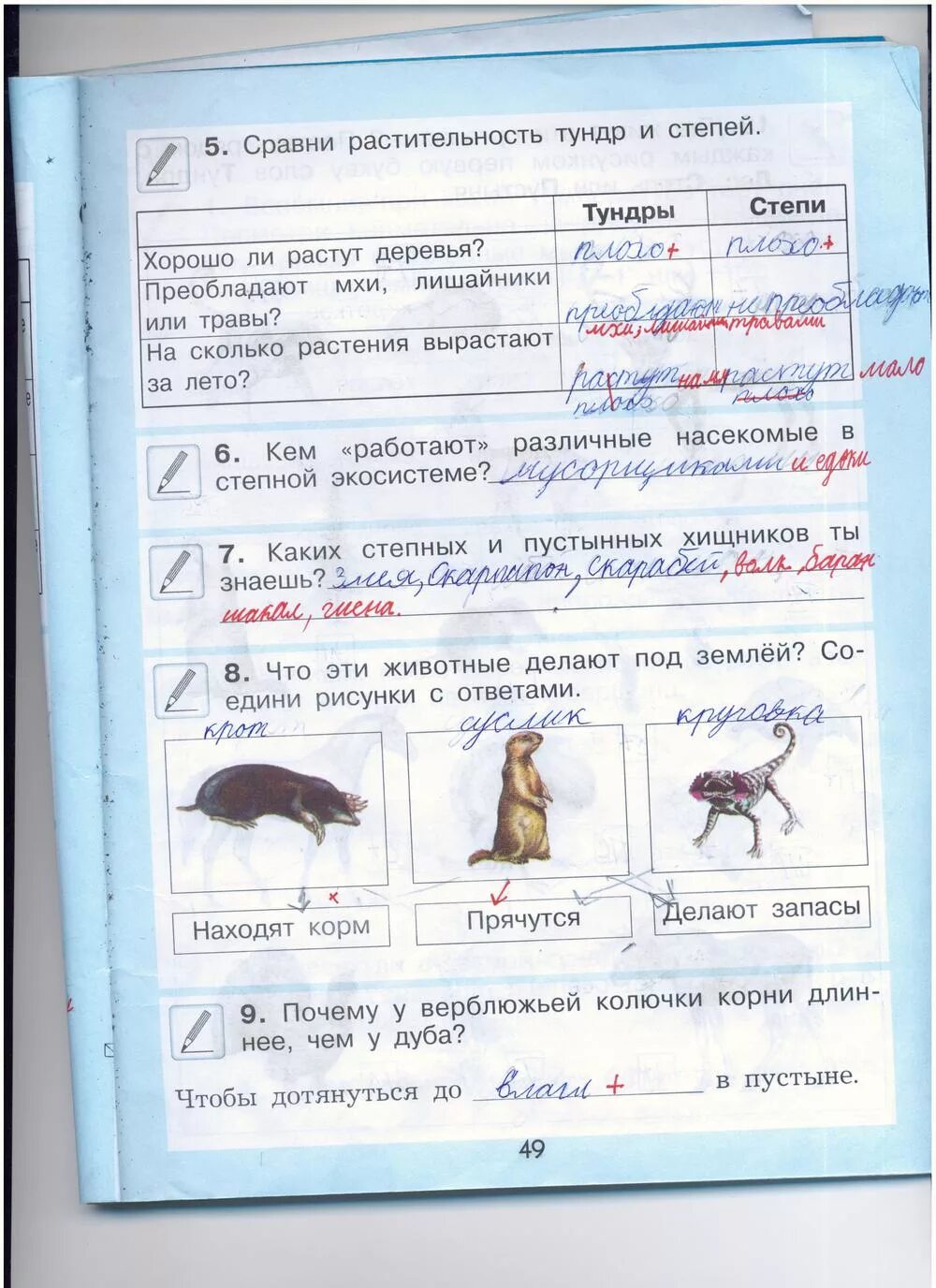 Окружающий мир рабочая тетрадь стр 49. Окружающий мир 2 класс рабочая тетрадь стра49. Гдз по окружающему миру 2 класс. Домашнее задание по окружающему миру класс стр 49. Окружающий мир 2 класс рабочая тетрадь стр 73.