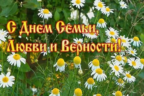 Прошел дню семьи любви и верности