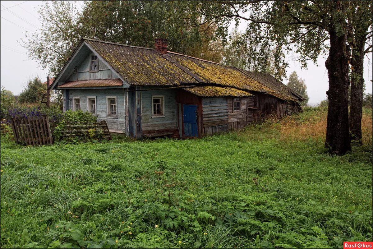 Стоит ехать в деревню. Люди в деревне. Лето в деревне детство. Атмосфера деревни россии. Фотосессия в деревне.