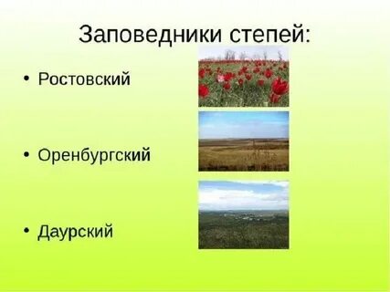 Зона степей название заповедника