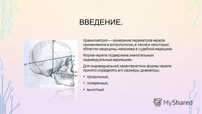 Разные формы черепа у людей. Правильная форма черепа. Определите форму черепа. Форма черепной коробки. Определите форму черепа.