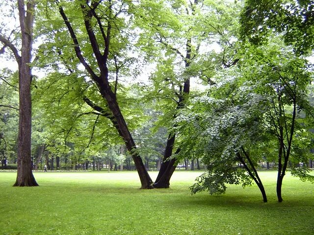 прекрасен сад михайловского с его зеленым ковром