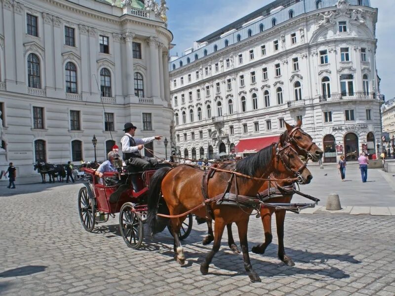 Фиакр это. Фиакр в Вене. Старинный Фиакр в Австрии. Конные экипажи в Вене. Фиакр в Вене 19 век.