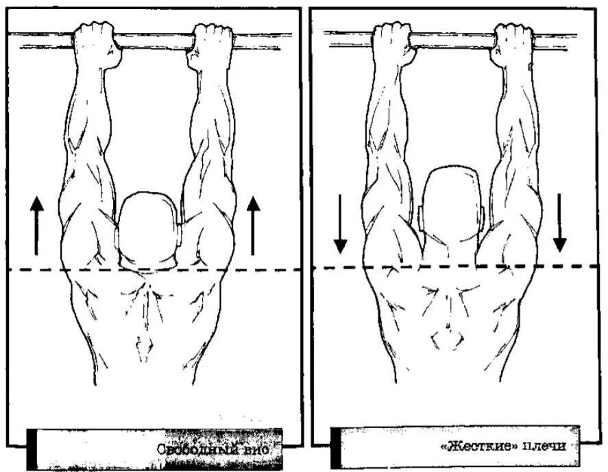 Средний хват снизу подтягивания. Подтягивания средним верхним хватом.. Методика подтягивания на перекладине. Хват снизу