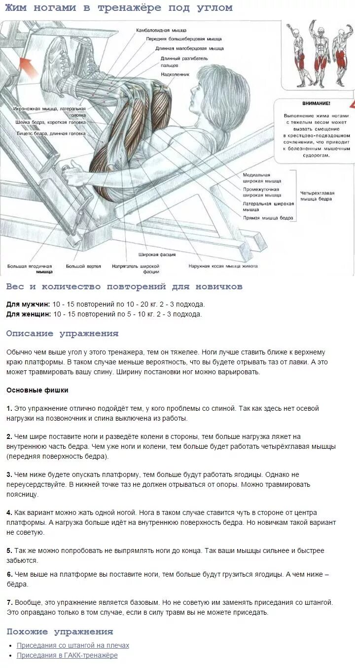 Постановка ног при жиме ногами в тренажере. Постановка ног при жиме ногами в тренажере