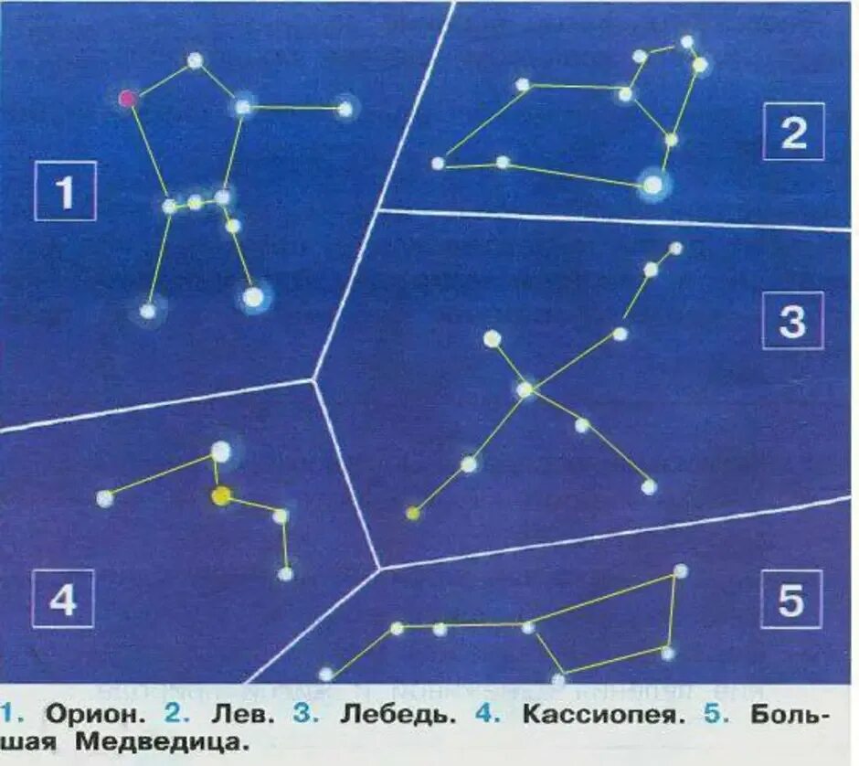 Созвездия первый класс. Созвездия медведицы Орион Кассиопея. Созвездие Орион Лев лебедь Кассиопея большая Медведица. Созвездие Орион лебедь Кассиопея по точкам. Схема созвездия Кассиопея лебедь Орион.