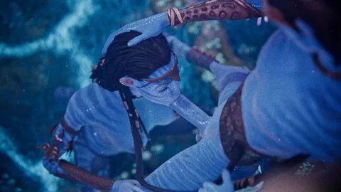 See GIFDOOZER gifdoozer's tweet 