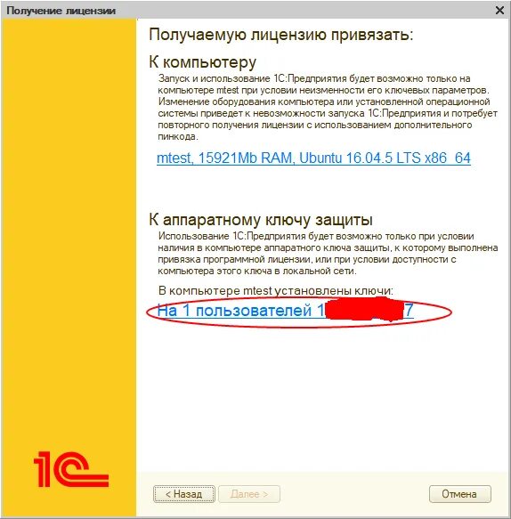 1 лицензия нулевая. Ключ лицензии 1с предприятие 8.3. Программная лицензия 1с о программе. Пин код лицензии 1с 8.3. Программная клиентская лицензия 1с.