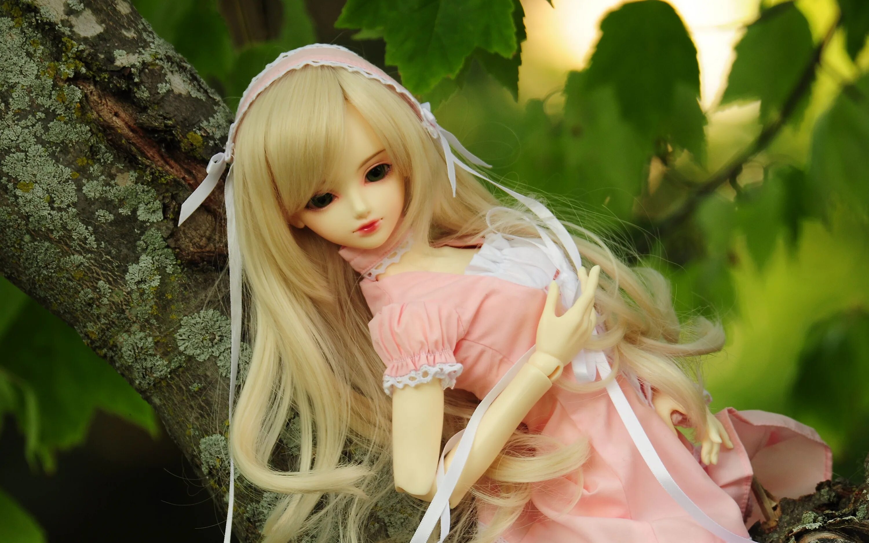 Как называется девушка кукол. Живая барби анастасия шпагина. Анжелика кенова барби. Лулу хашимото. Самые красивые куклы.