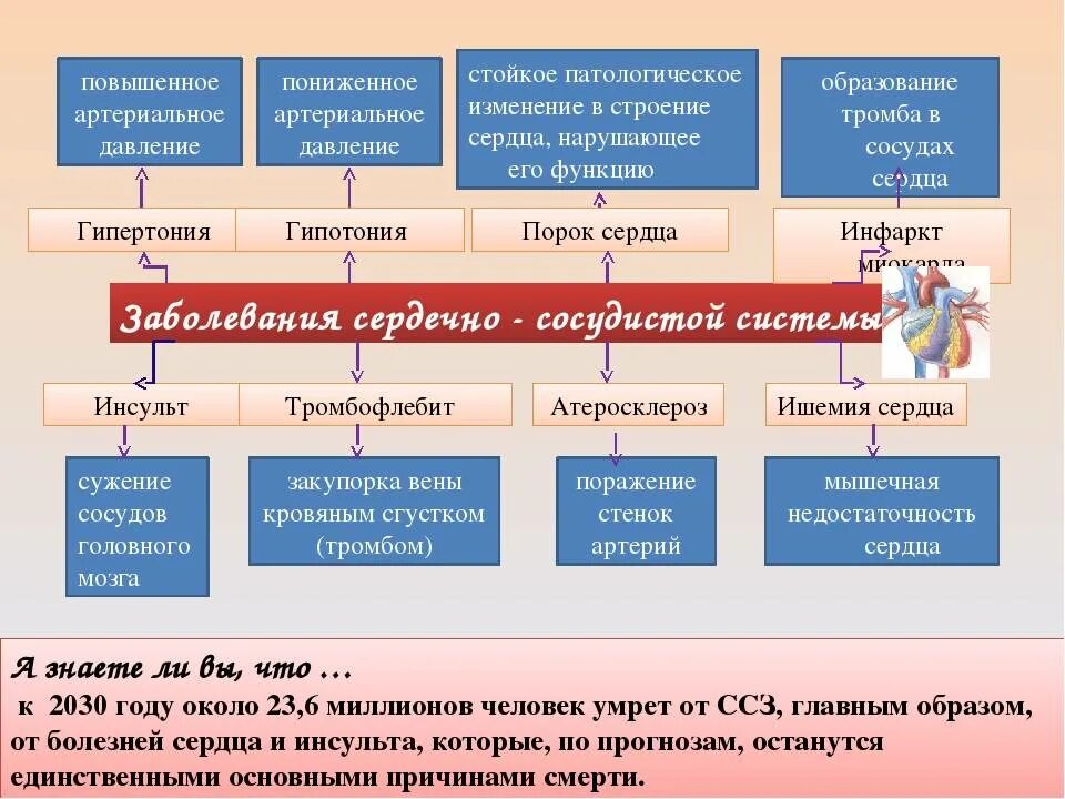 Заболевания сердечной системы. Сердечные болезни таблица. Классификация сердечно сосудистых заболеваний. Заболевания сердца список. Заболевания сердечно-сосудистой системы таблица.