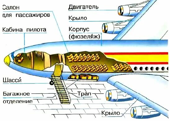 Окружающий мир зачем строят самолеты. Зачем строят самолеты 1 класс. Строение самолета. Название частей самолета. Части самолета для детей.