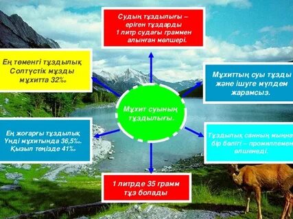 Ең ылғалды жер