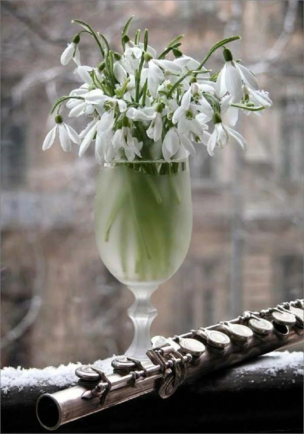 Хочется весны в душе. Нежные весенние цветы. Подснежники в вазе. Весенние цветы в бокале. Подснежники в бокале.