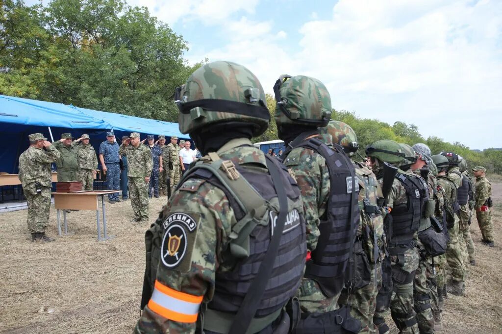 Курская белгородская область новости