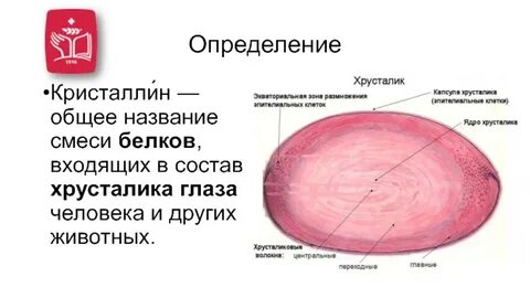 Хрусталик йошкар ола сайт