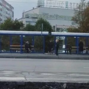 Шевченко автобус