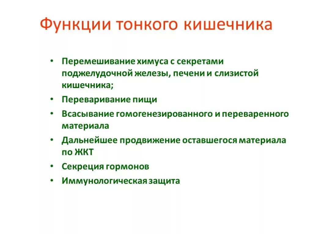 Функции тонкой кишки 8 класс. Тонкий кишечник функции кратко. Функции тонкого кишечника. Функции тонкоггкишечника.