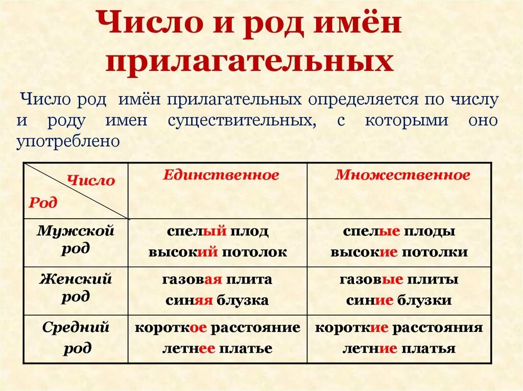 Красное подобрать существительное. Как определить род у прилагательных 4 класс. Как определить род и число имен прилагательных. Прилагательное как определить род и число. Как определить род имя прилагательное.