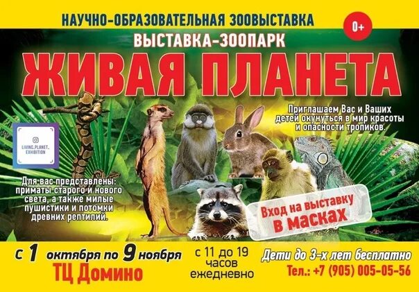 Живая планета орск. Живая планета блоггер. Телеканал живая планета. Живая планета орск. Пантерик магазин экзотических животных.