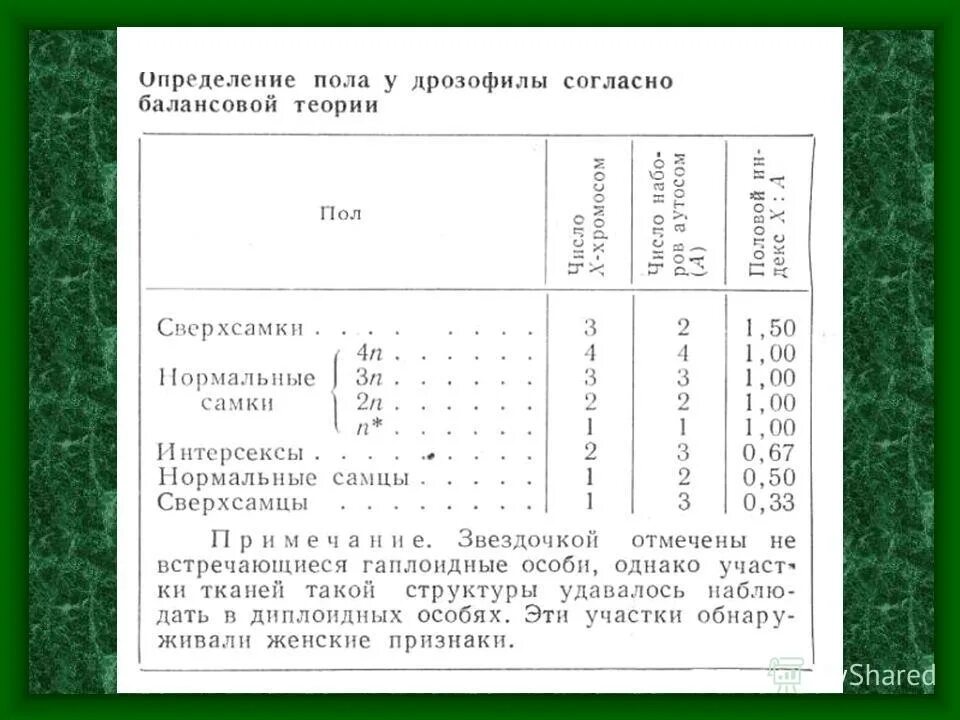 Теория определения пола