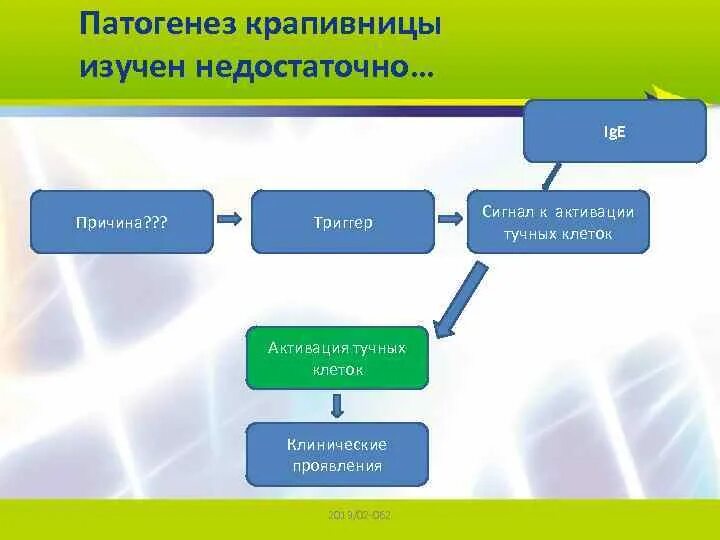 Какую среду обитания освоила крапивница ответ. Патогенез крапивницы. Механизм развития крапивницы. Крапивница этиология патогенез.