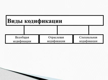 Виды кодификации