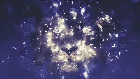 2025 год для льва