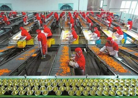 Vegetable processing