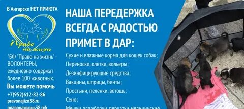 Фонд право на жизнь