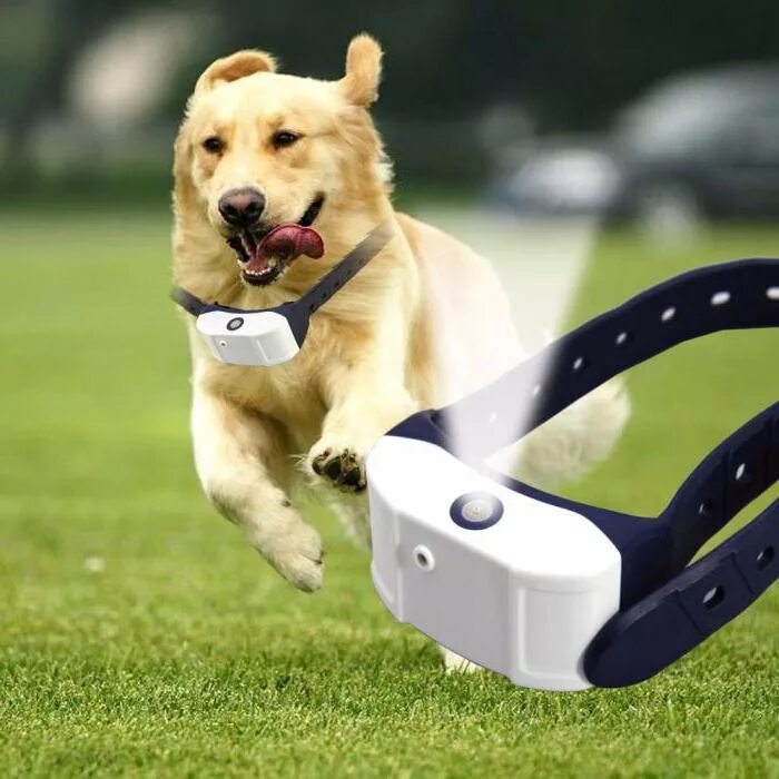 Электронный ошейник антилай для собак. Против лая собак. Антилай для собак ультразвуковой. Против лая собак. Bark stop ультразвуковой ошейник антилай.