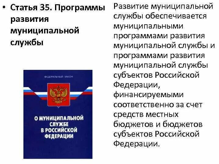 Муниципальная служба субъекта рф. Программы развития муниципальной службы. Муниципальная служба Эволюция. Структура программы развития муниципальной службы. Принципы муниципальной службы.