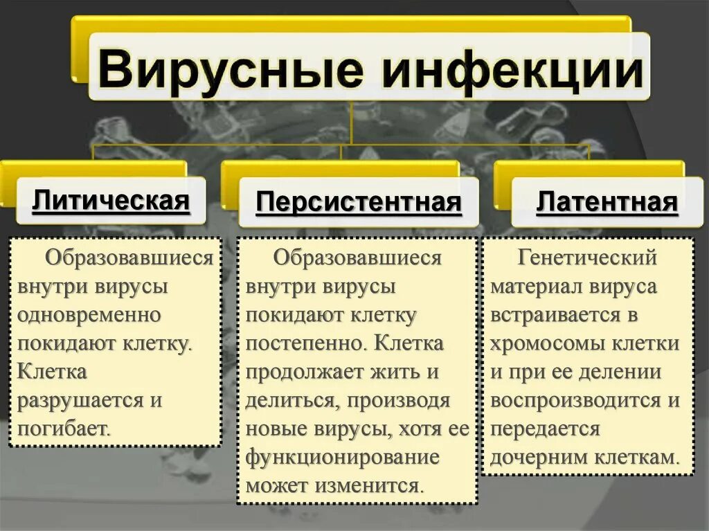 Группы вирусных инфекций