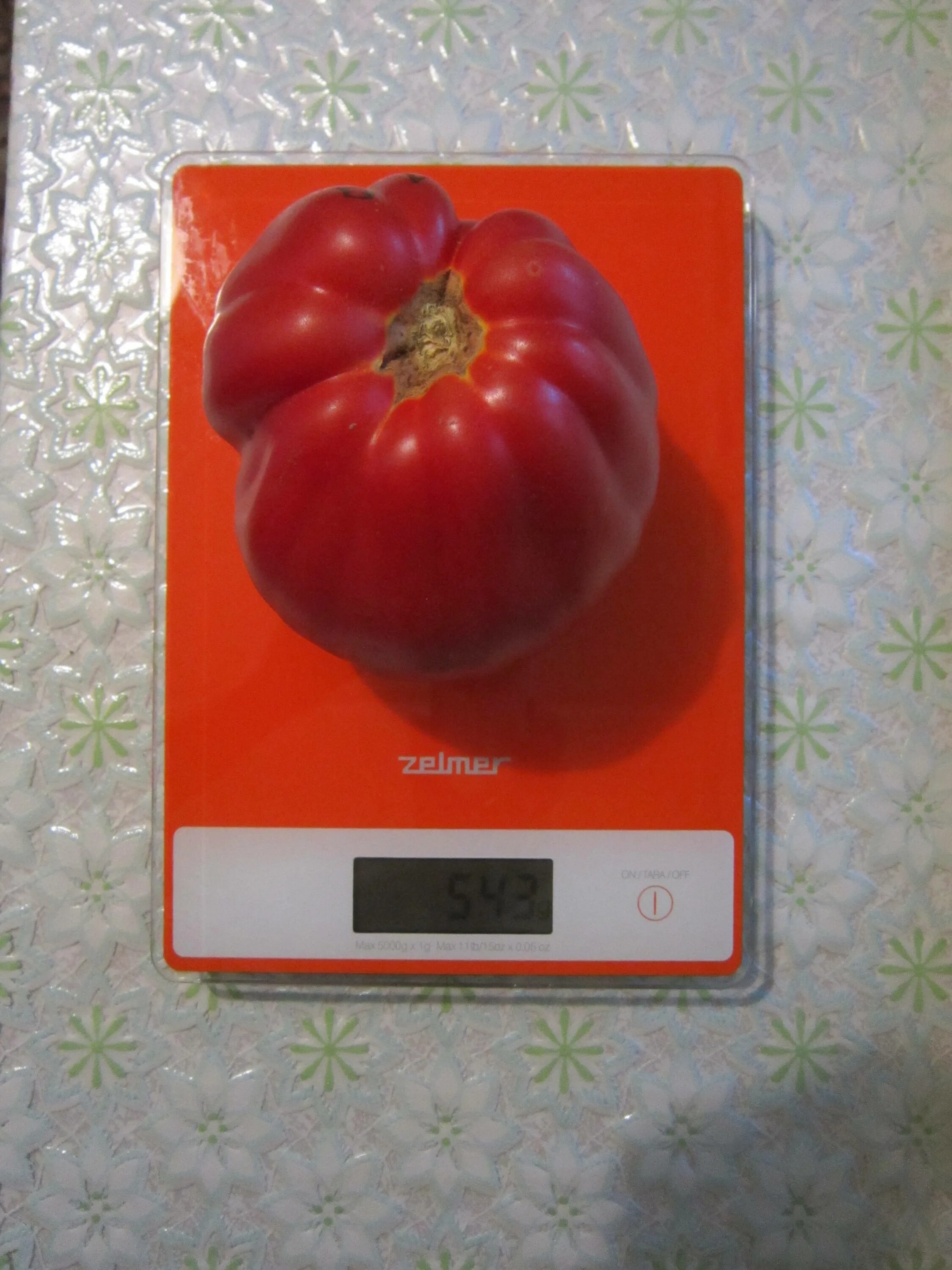 сорт томата сто пудов фото и описание