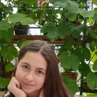 Мир полину