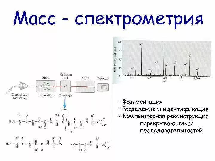 Фрагментация днк методы. Структурная схема масс-спектрометра. Метод хромато-масс-спектрометрии схема. Масс-спектрометр принцип работы схема. Схема масс-спектрометрии esi.