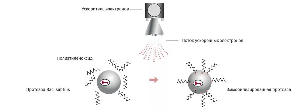 Время рабочего импульса ускорителя электронов равно. Время рабочего импульса ускорителя электронов 1 мкс. Иродов 3. Импульсный ускоритель электронов. Схема ускорителя электронов.