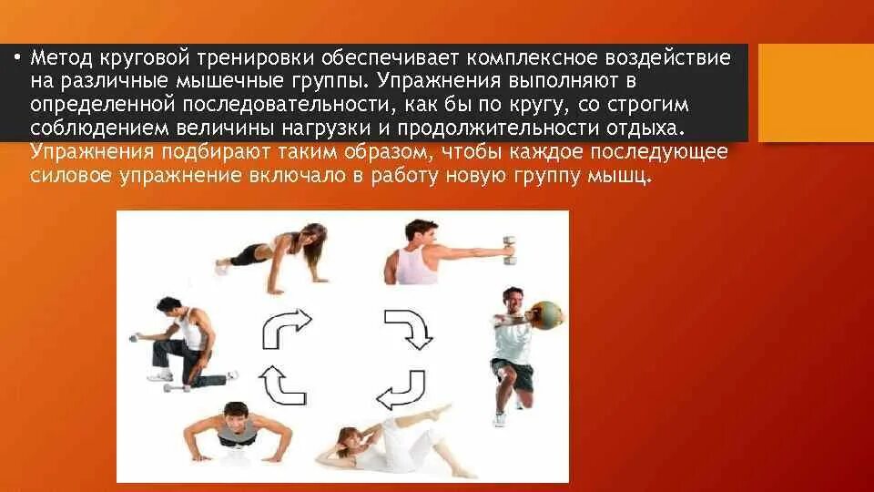 Укажите методы упражнений. Комплекс круговой тренировки. Упражнения для круговой тренировки. Метод круговой тренировки. Круговая тренировка комплекс упражнений.
