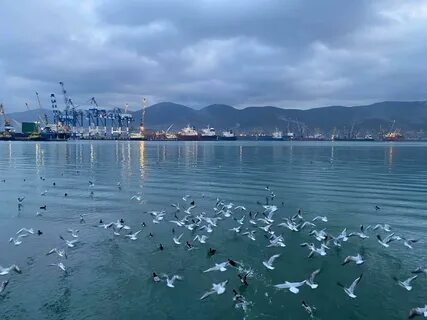 Где вода в новороссийске