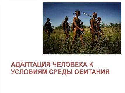 Приспособление к среде жизни человека