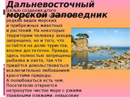 Дальневосточный заповедник природная зона