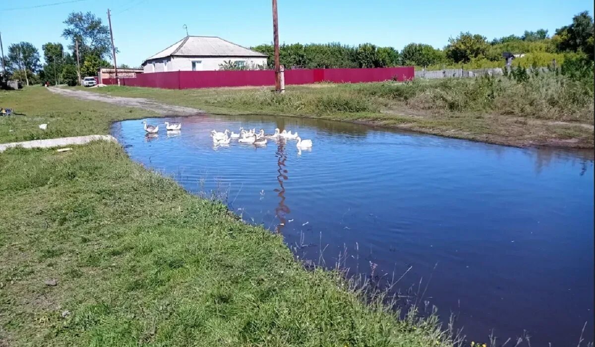 Погода в андронова алтайский край. Андроново Алтайский край. Андроново Алтайский край Тюменцевский район. Село Андроново Тюменцевского района Алтайского края. Алтайский край, Тюменцевский р-н, с. Андроново.