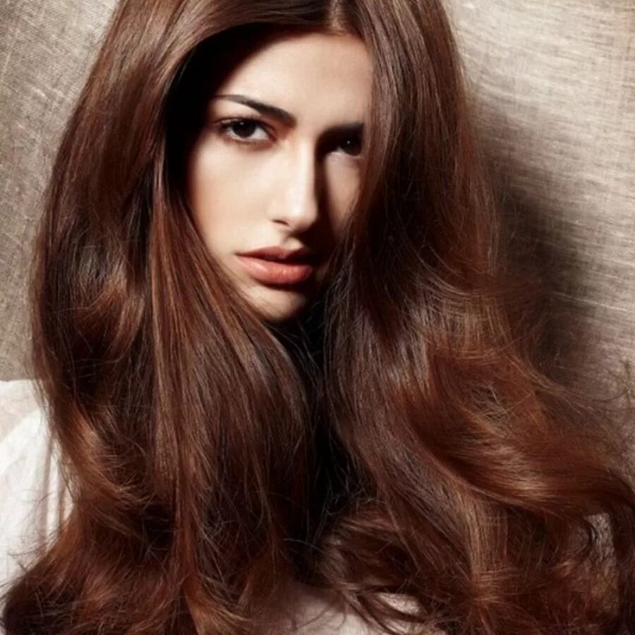 Каштановый цветов. Каштановый шатен. Ризо каштановый цвет волос. Chestnut Brown цвет волос. Цвет волос Лайт Браун.