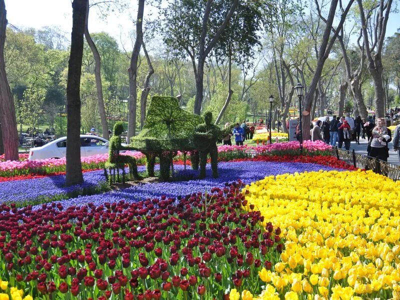 Парк тюльпанов в стамбуле. Парк Эмирган в Стамбуле. Парк Эмирган фестиваль тюльпанов. Парк Эмирган в Стамбуле в апреле. Стамбул Эмирган тюльпаны.