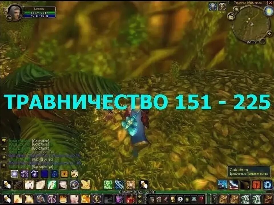 Травничество элвинский лес. Травничество гайд прокачки. Травничество. Травничество гайд прокачки. Wow sirus травничество гайд.