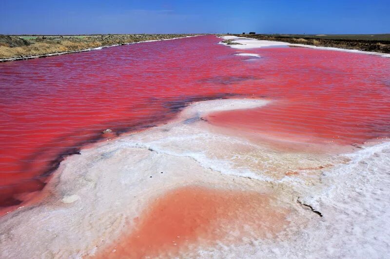 Нефритовое озеро в ташкенте. Al wathba lake. Соленое озеро абу даби. Соленое озеро абу даби. Пустыня аль кудра.