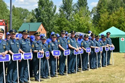 Добровольные команды