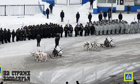 80 мотострелковая арктическая
