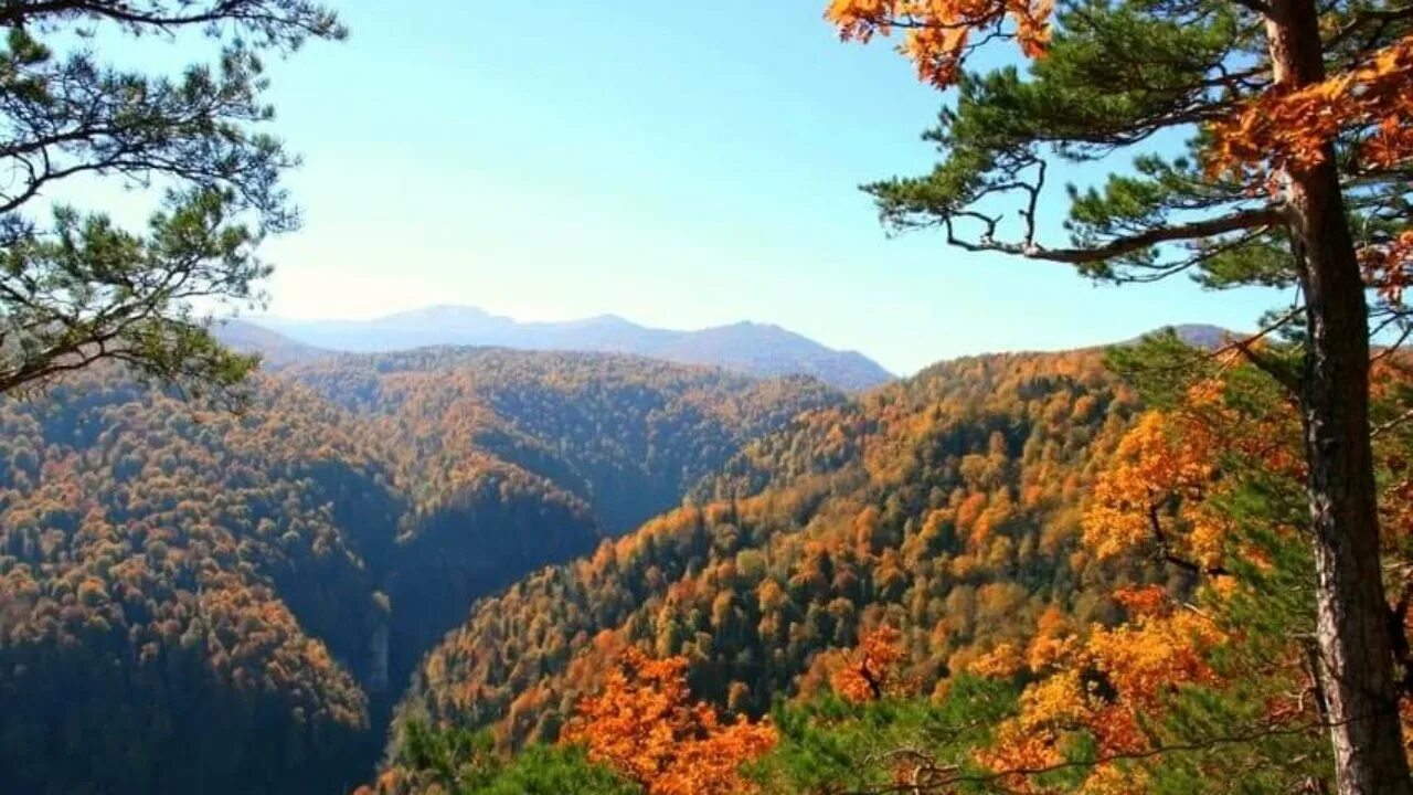 Бывают в краснодарском крае. Субтропический климат Кубани. Климат Кубани горный. Субтропический климат Краснодарского края. Умеренный климат Кубани.