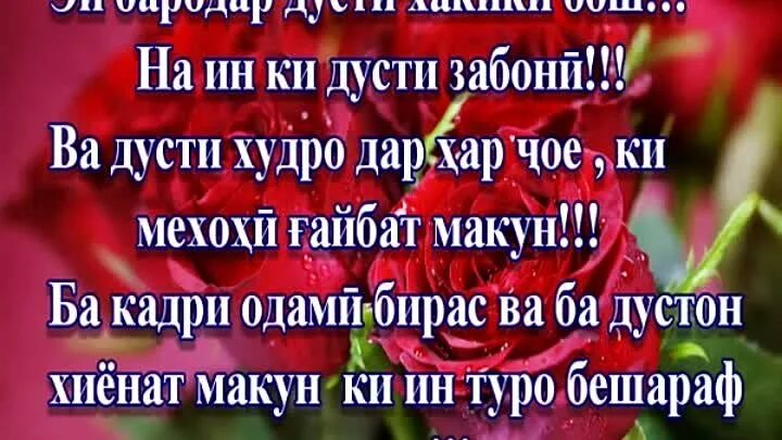 Шеър ба. Шеърхои ошикона бо забони точики. Шер дустон. Шери бехтарин. Картинки дусти.